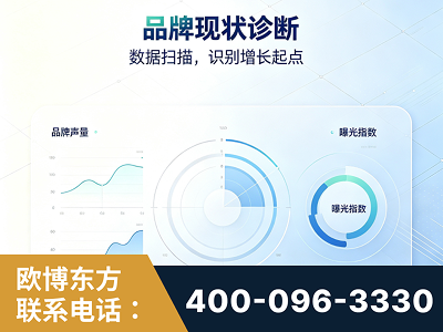 蒙自-品牌现状诊断