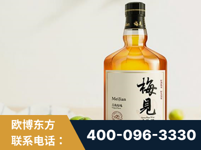 蒙自-梅见青梅酒
